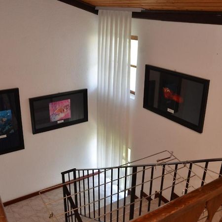 Vila Delfin โอครีด ภายนอก รูปภาพ