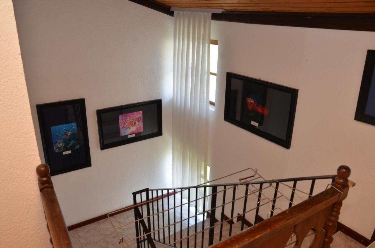 Vila Delfin โอครีด ภายนอก รูปภาพ